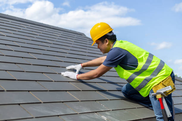 Best Roof Gutter Cleaning  in West Miami, FL